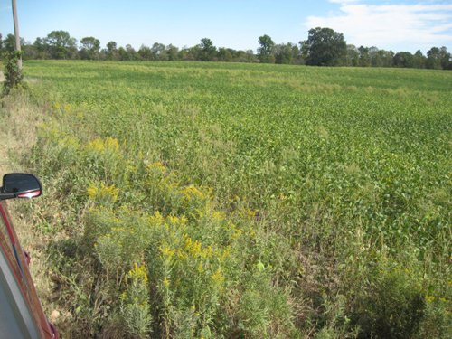 Property photo 11 - 110+/- Acres offered in 4 Tillable Tracts